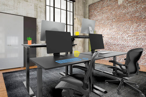 Full Size Standing Desks - Electric Height Adjustable