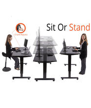black | none | Sit or stand with the Tranzendesk standing desk.